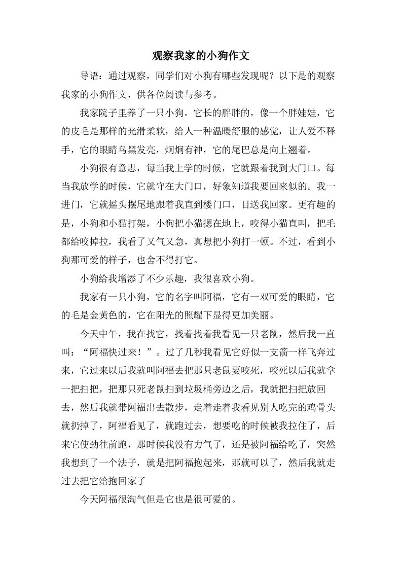 观察我家的小狗作文