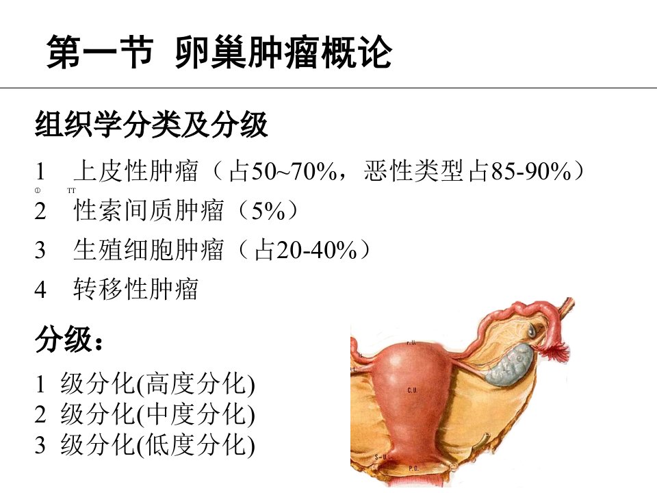 卵巢肿瘤概述ppt课件