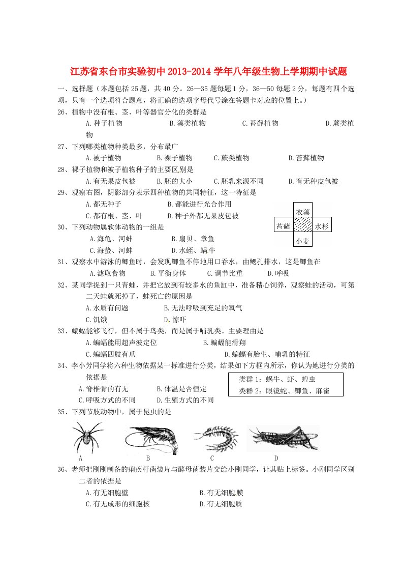 江苏省东台市实验初中学年八年级生物上学期期中试题