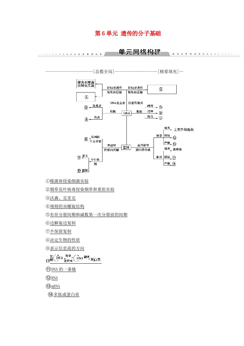 高考生物一轮复习第6单元遗传的分子基础单元网络构建学案苏教版