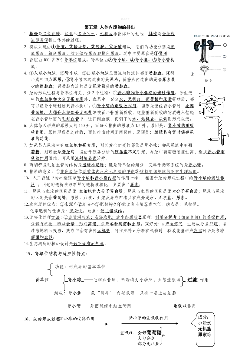 人教版下册七年级生物知识点全套2