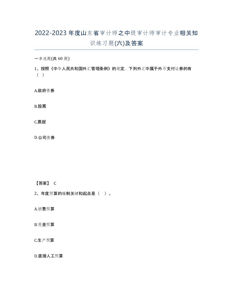 2022-2023年度山东省审计师之中级审计师审计专业相关知识练习题六及答案