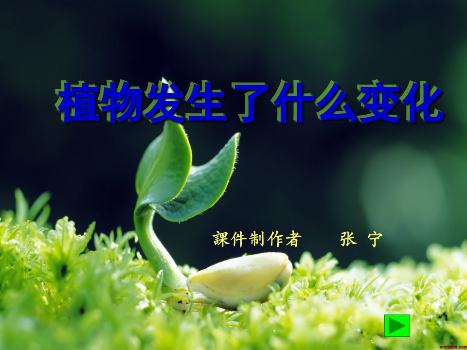 植物发生了哪些变化