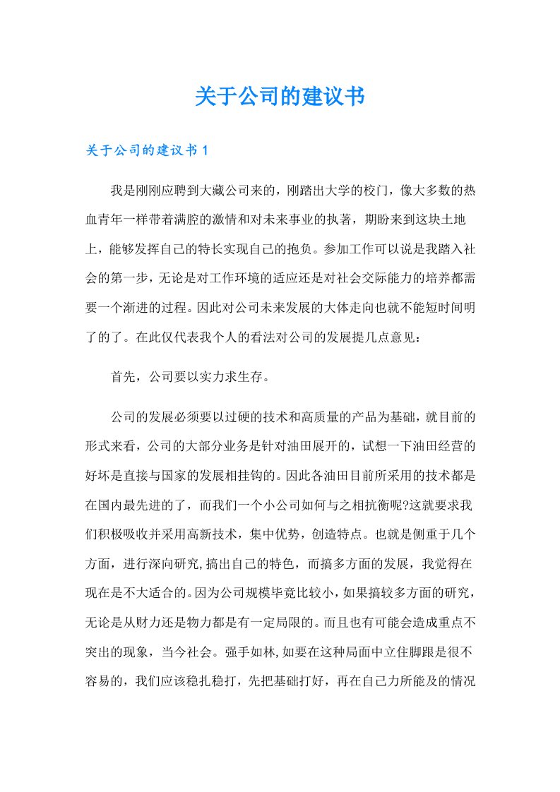 关于公司的建议书