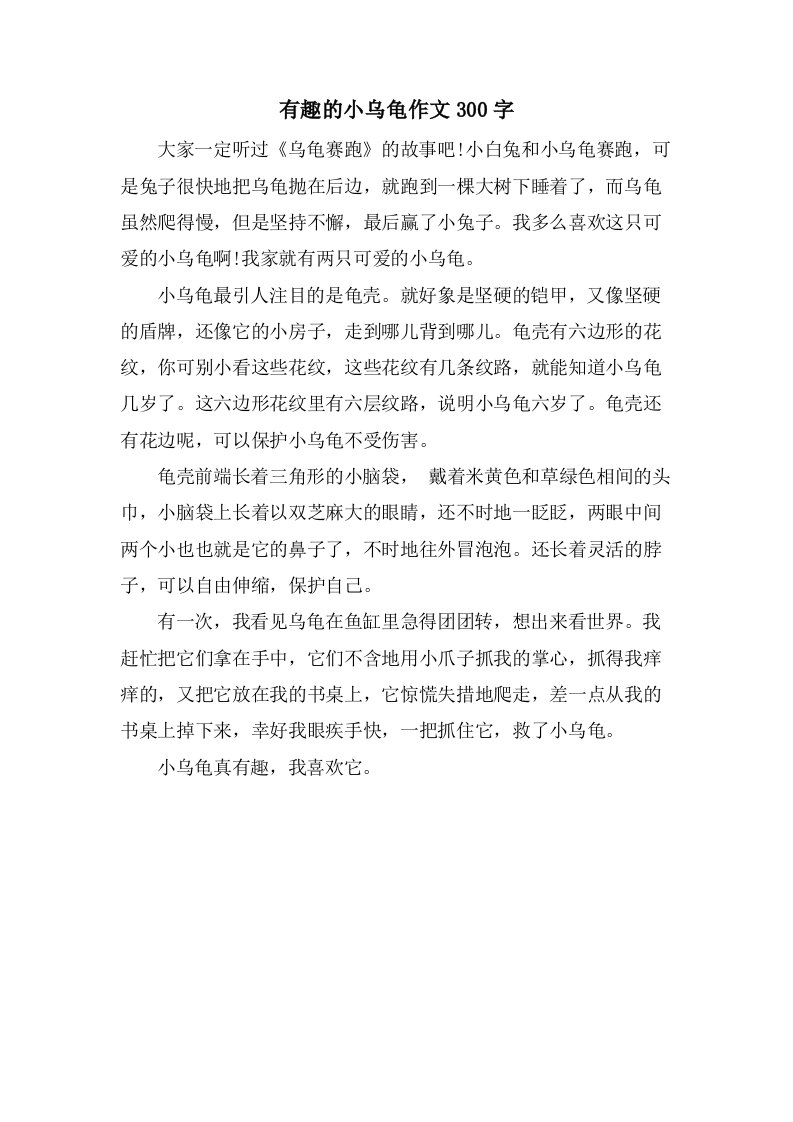 有趣的小乌龟作文300字