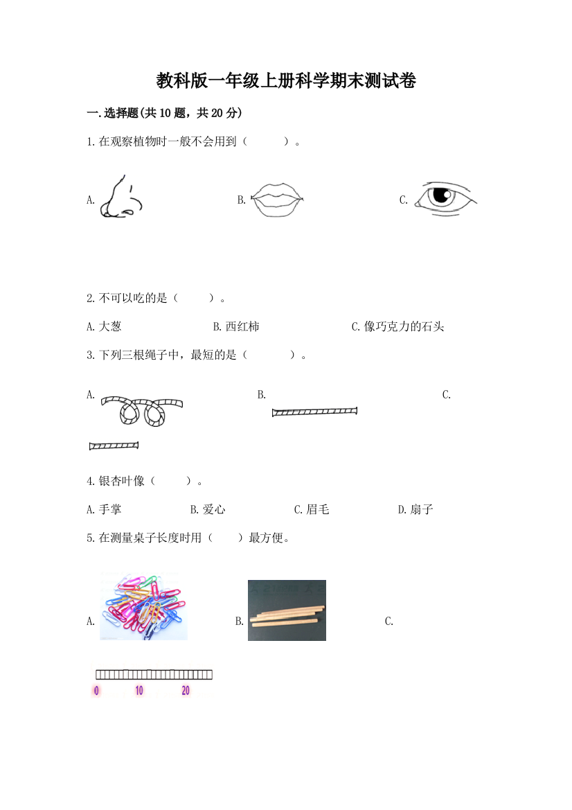 教科版一年级上册科学期末测试卷含答案（模拟题）