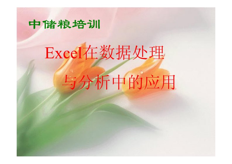 Excel在数据处理与分析中的应用