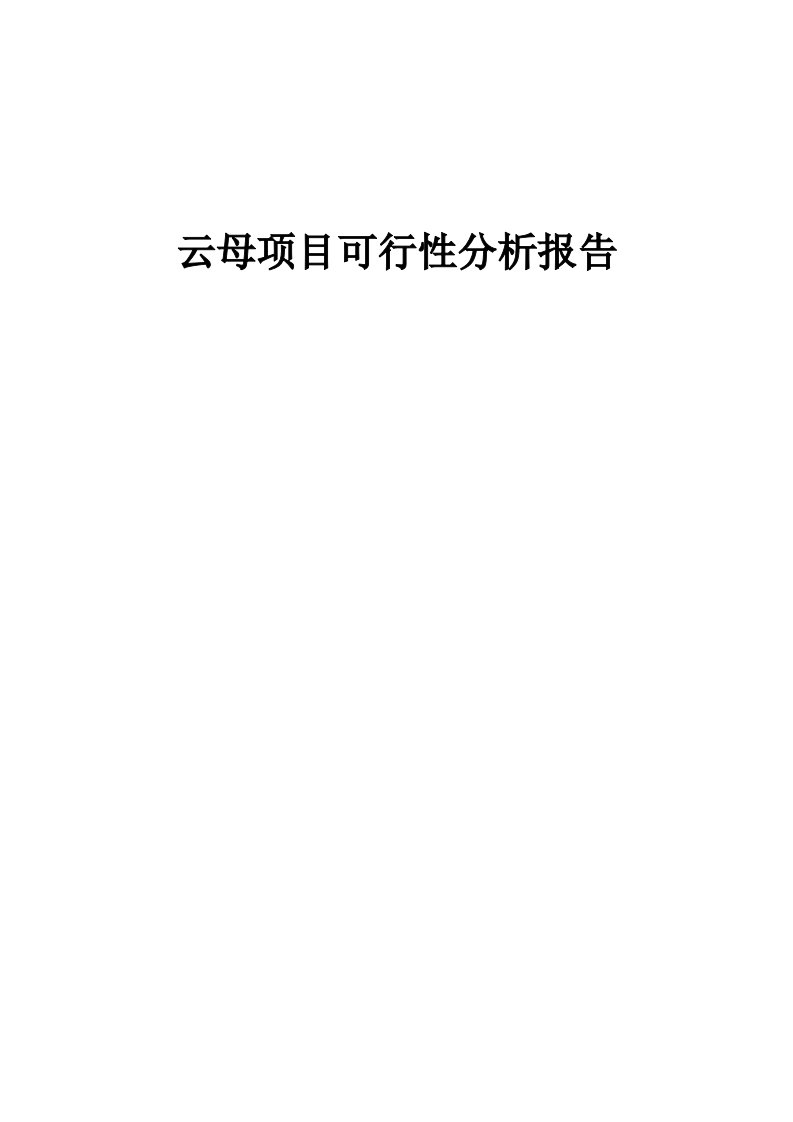 云母项目可行性分析报告