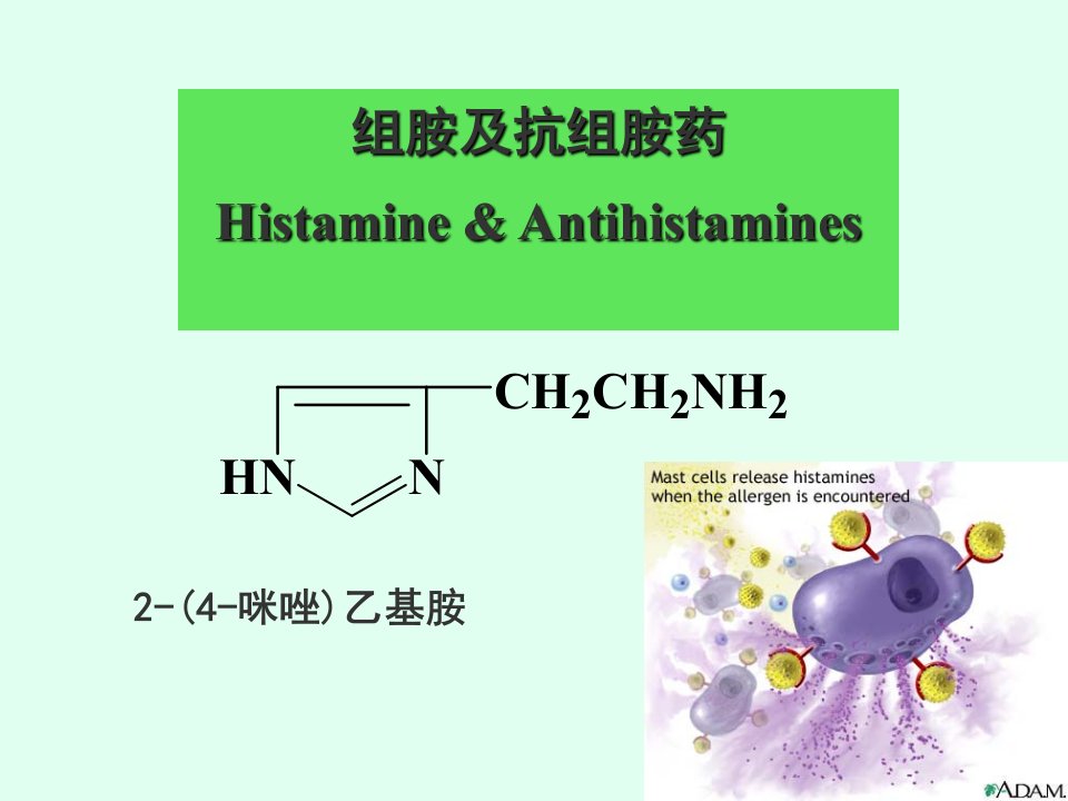 富马酸氯马斯汀注射液药理作用