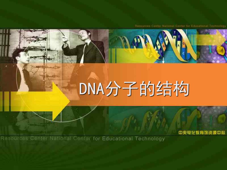 DNA分子结构