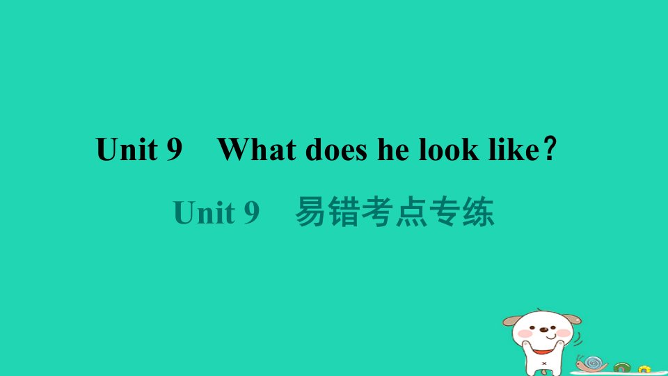 河南省2024七年级英语下册Unit9Whatdoeshelooklike易错考点专练课件新版人教新目标版