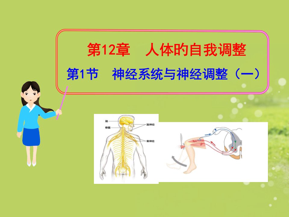 生物神经系统与神经调节北师大版七年级下公开课获奖课件省赛课一等奖课件