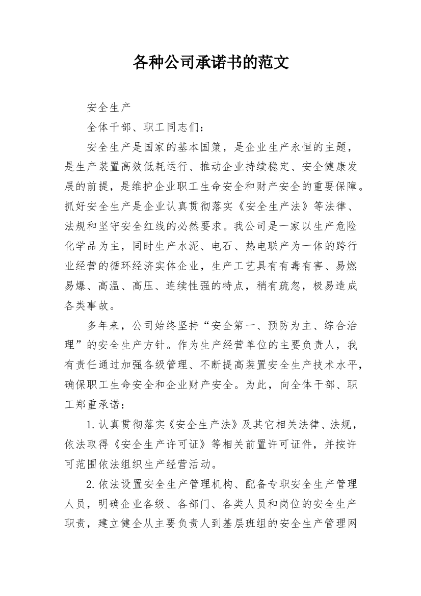 各种公司承诺书的范文