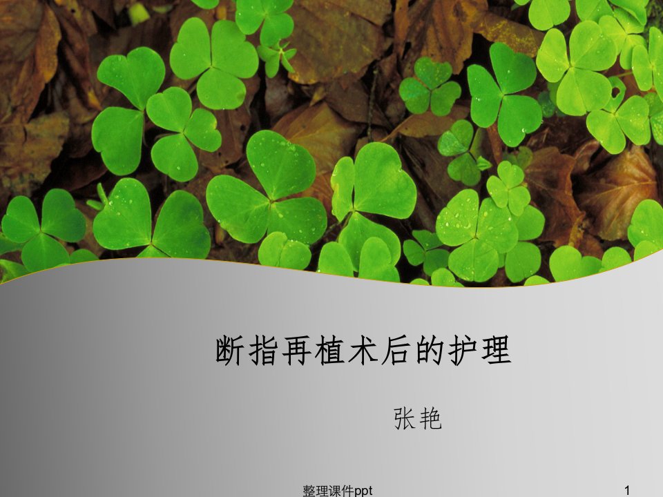 《断指再植术后护理》PPT课件