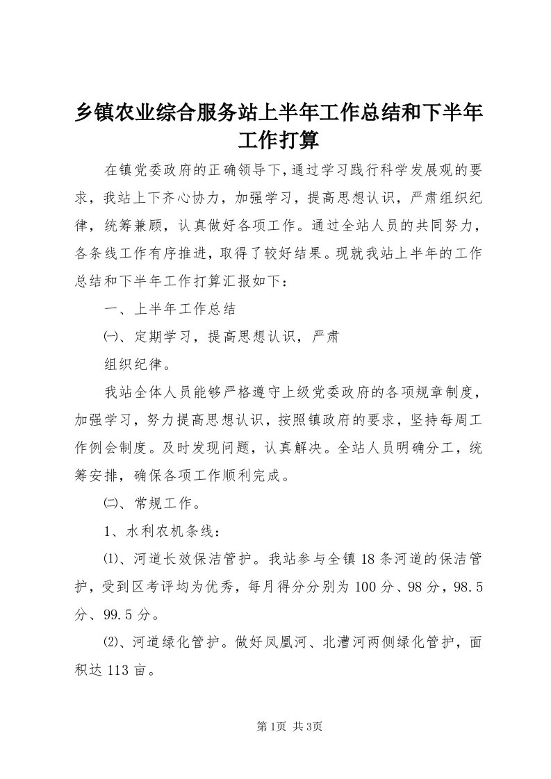 6乡镇农业综合服务站上半年工作总结和下半年工作打算