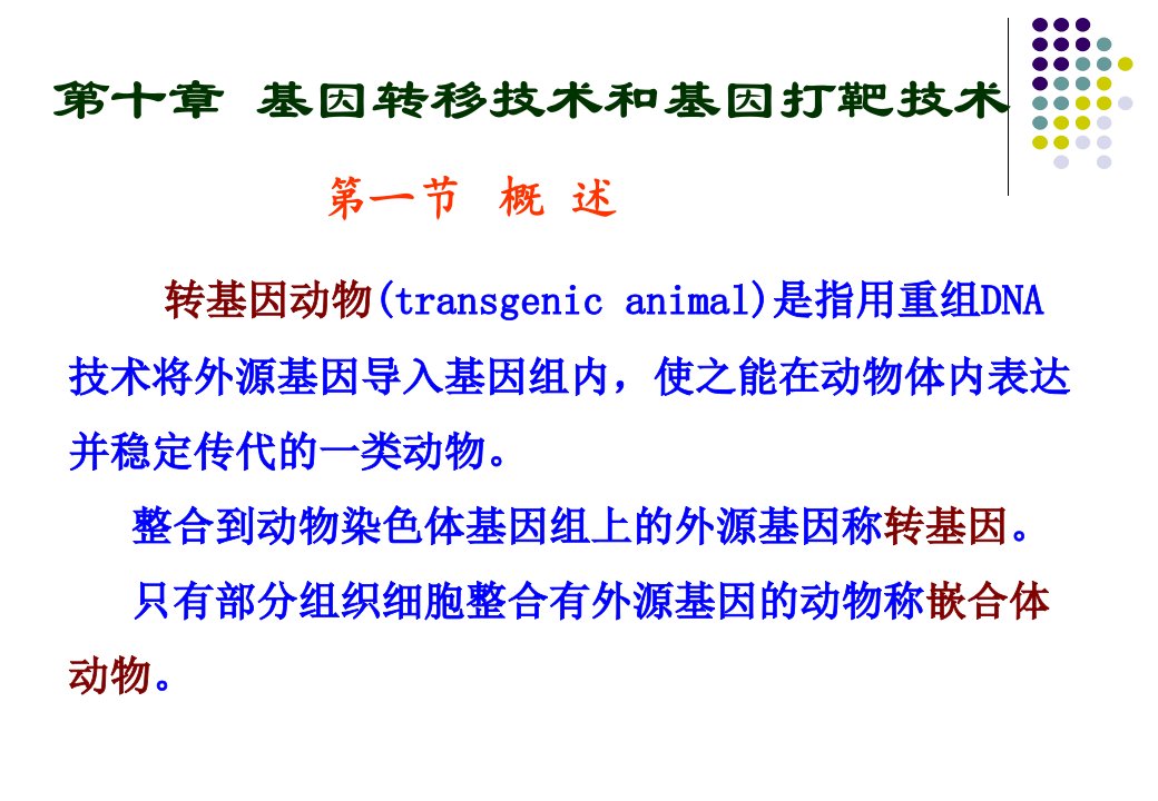 基因转移技术和基因打靶技术