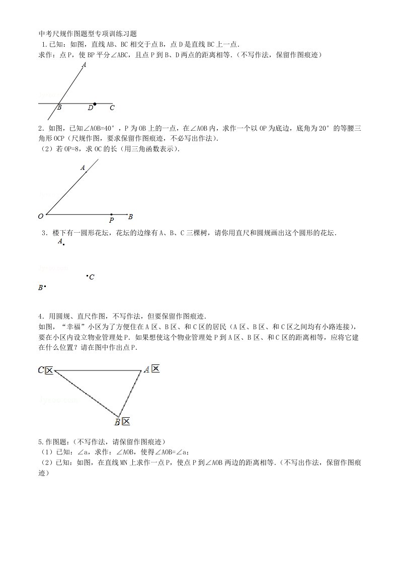 中考专项训练