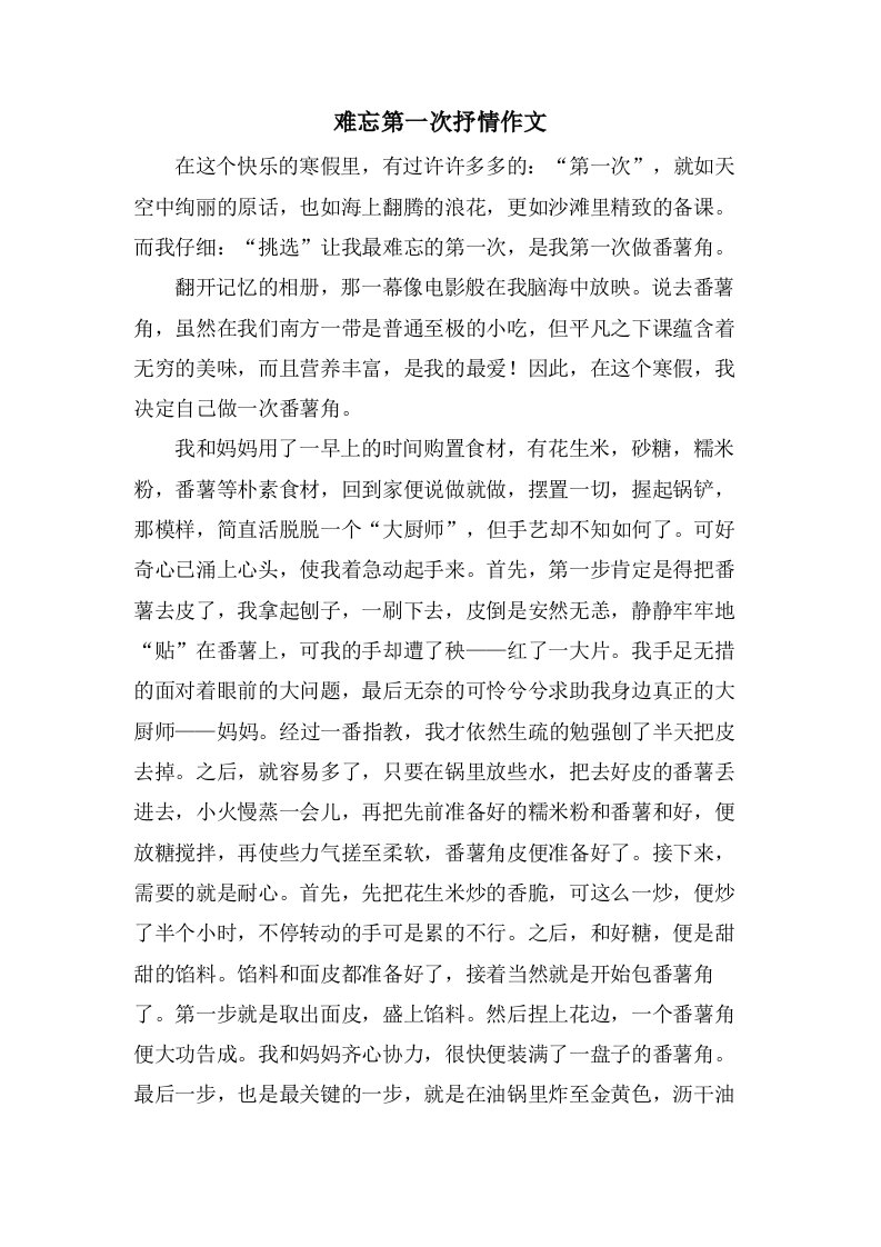 难忘第一次抒情作文