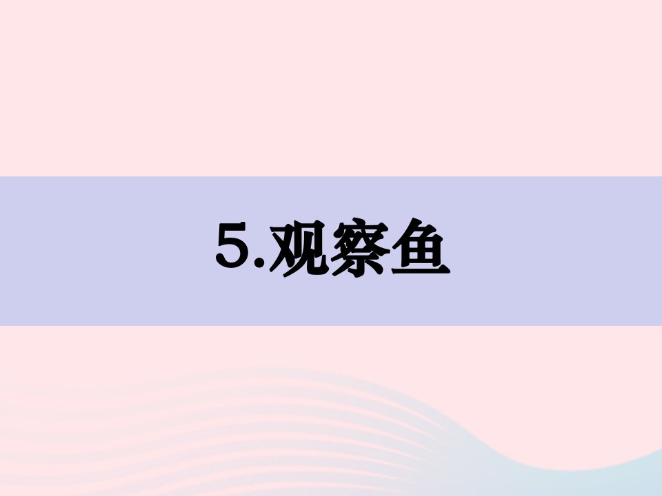 2023一年级科学下册动物2.5观察鱼课件教科版