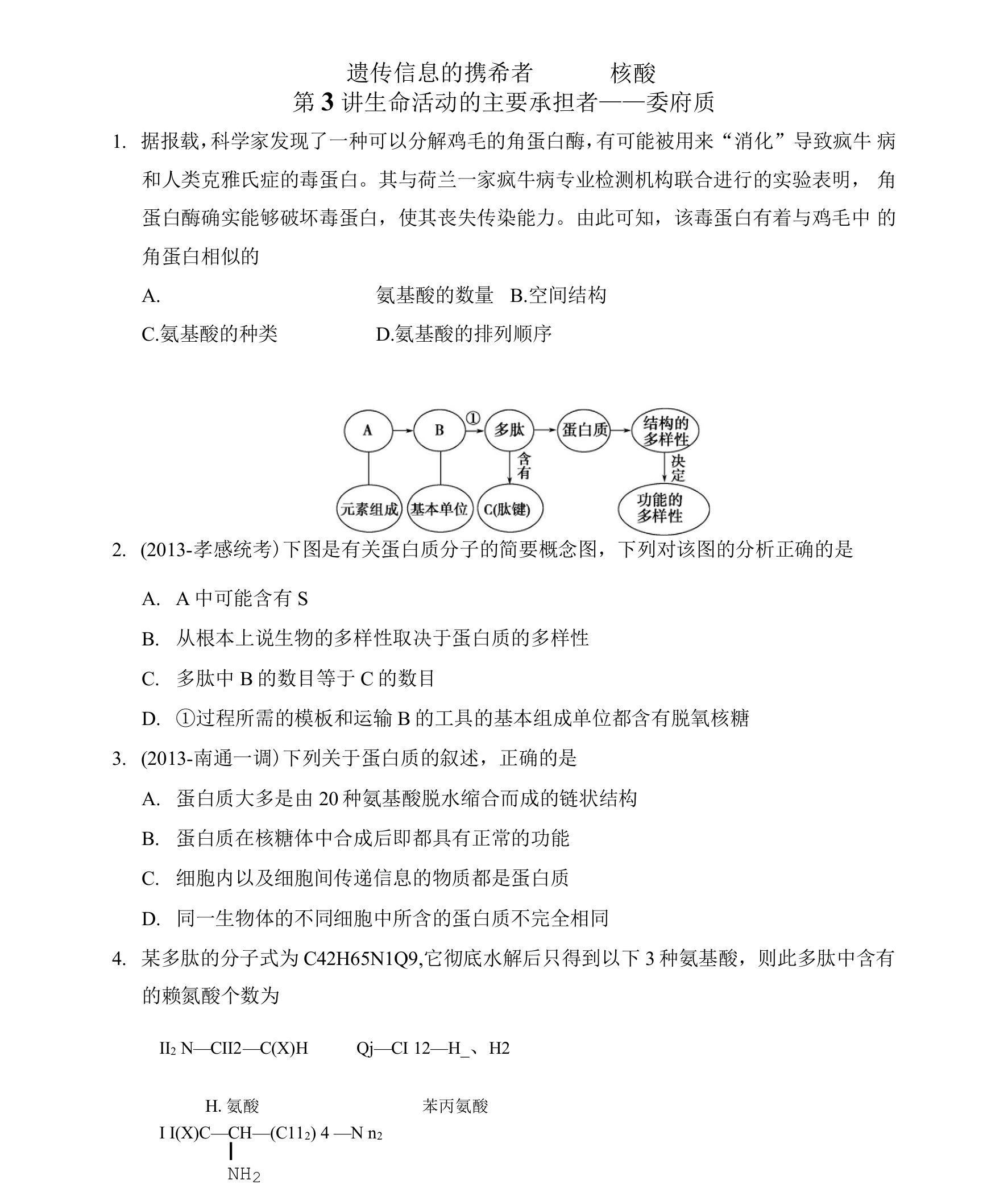 第三讲蛋白质核酸