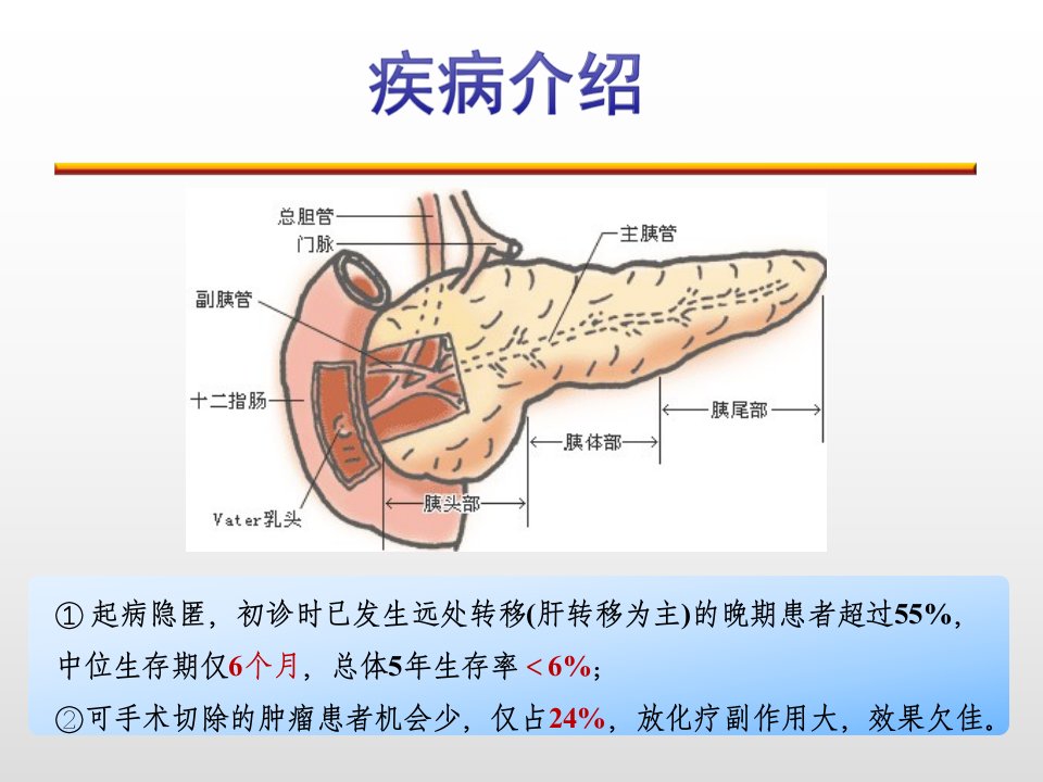 一例晚期胰腺癌病例分析课件