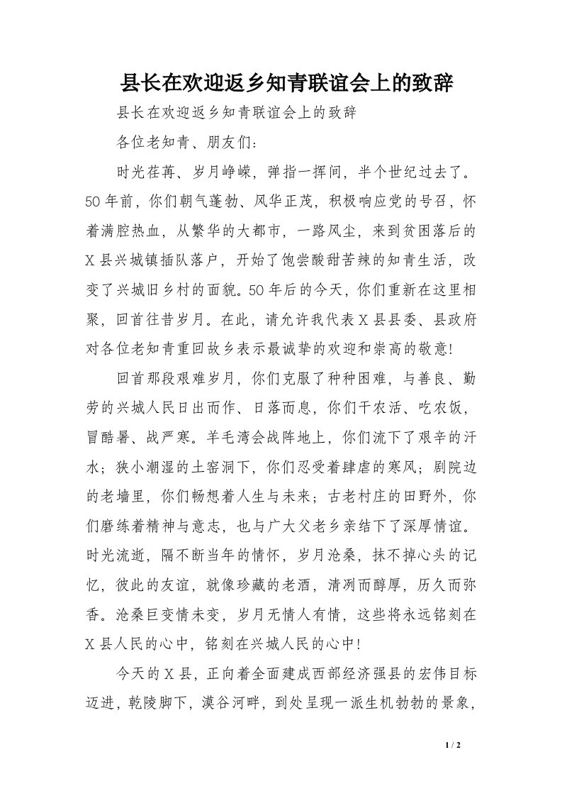 县长在欢迎返乡知青联谊会上的致辞