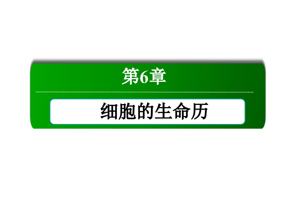 高中生物6-1细胞的增殖讲义手册课件新人教版必修