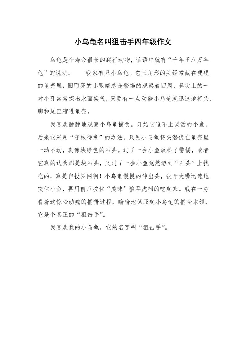 小乌龟名叫狙击手四年级作文