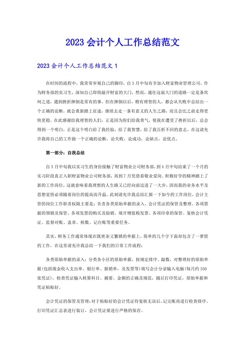 （可编辑）2023会计个人工作总结范文