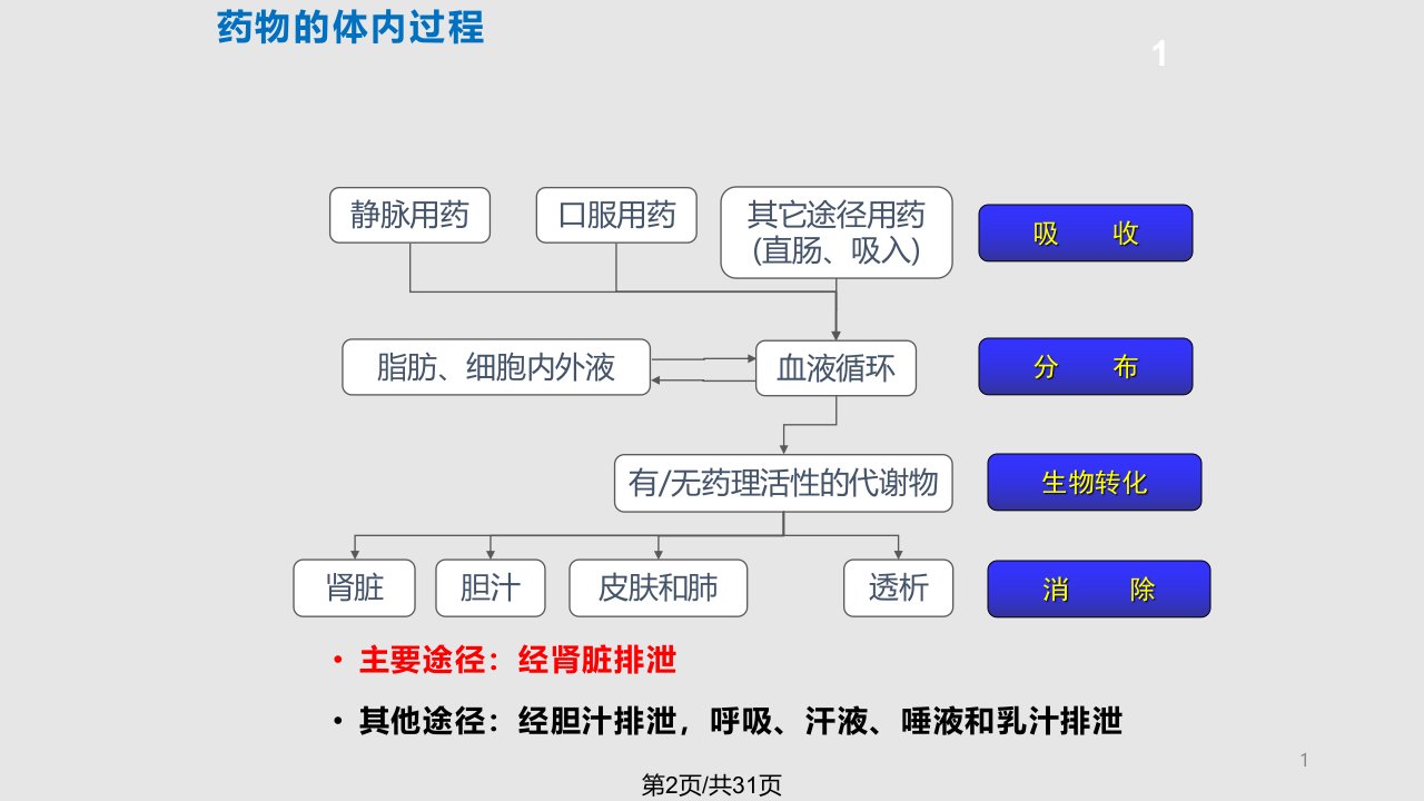 肾功能不全患者的合理用药周颖