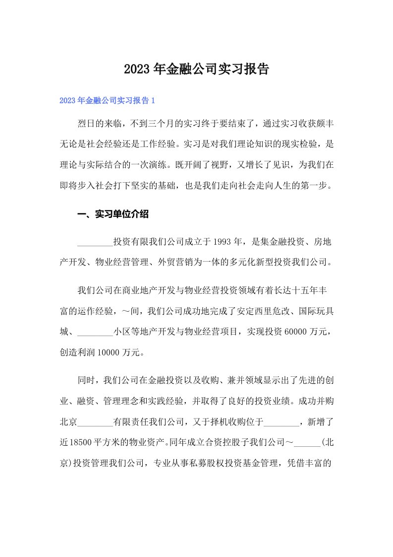 2023年金融公司实习报告