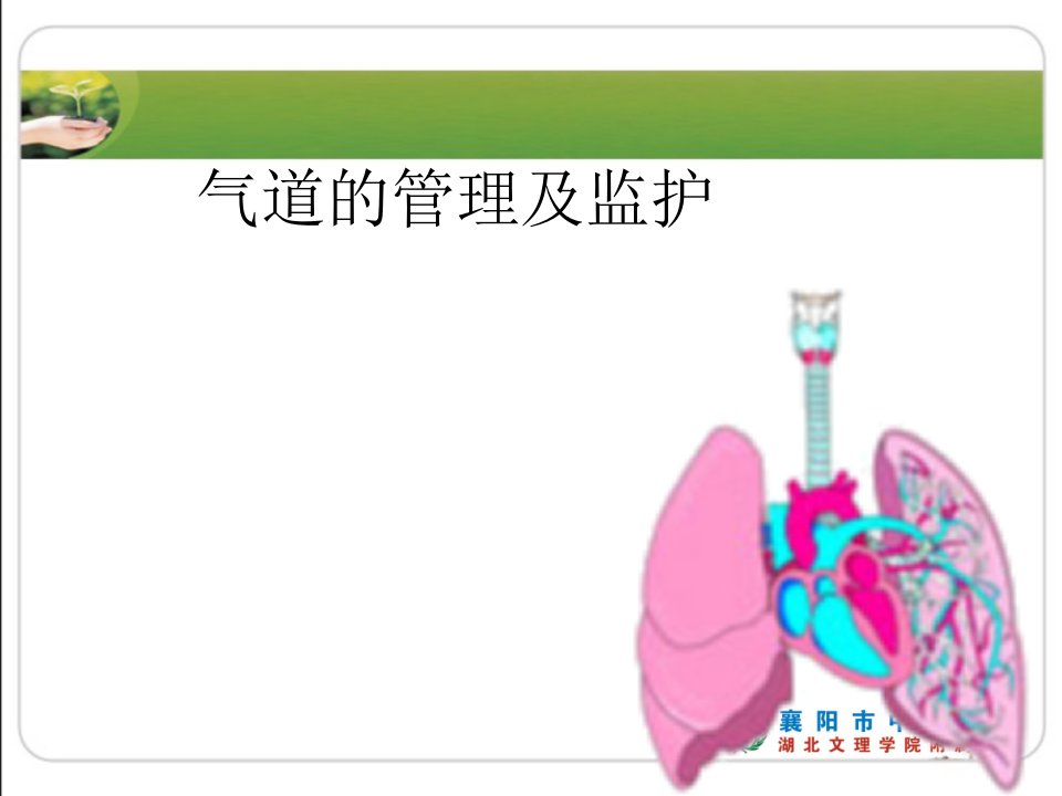 人工气道的管理及