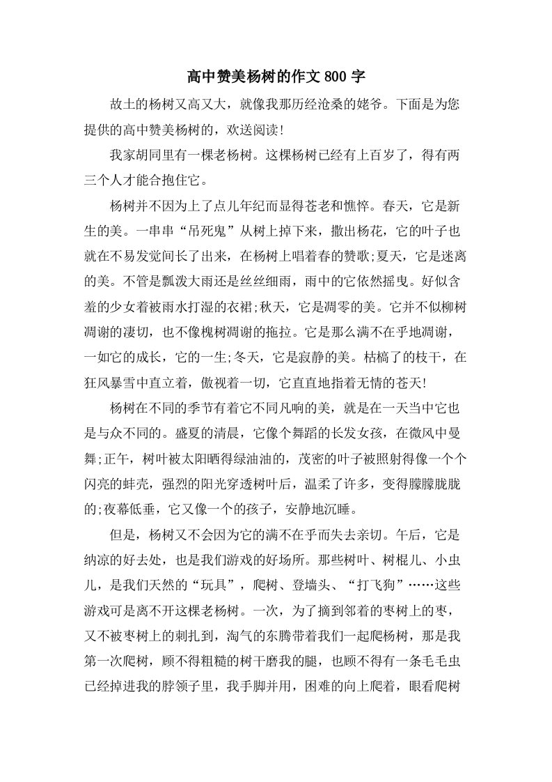 高中赞美杨树的作文800字