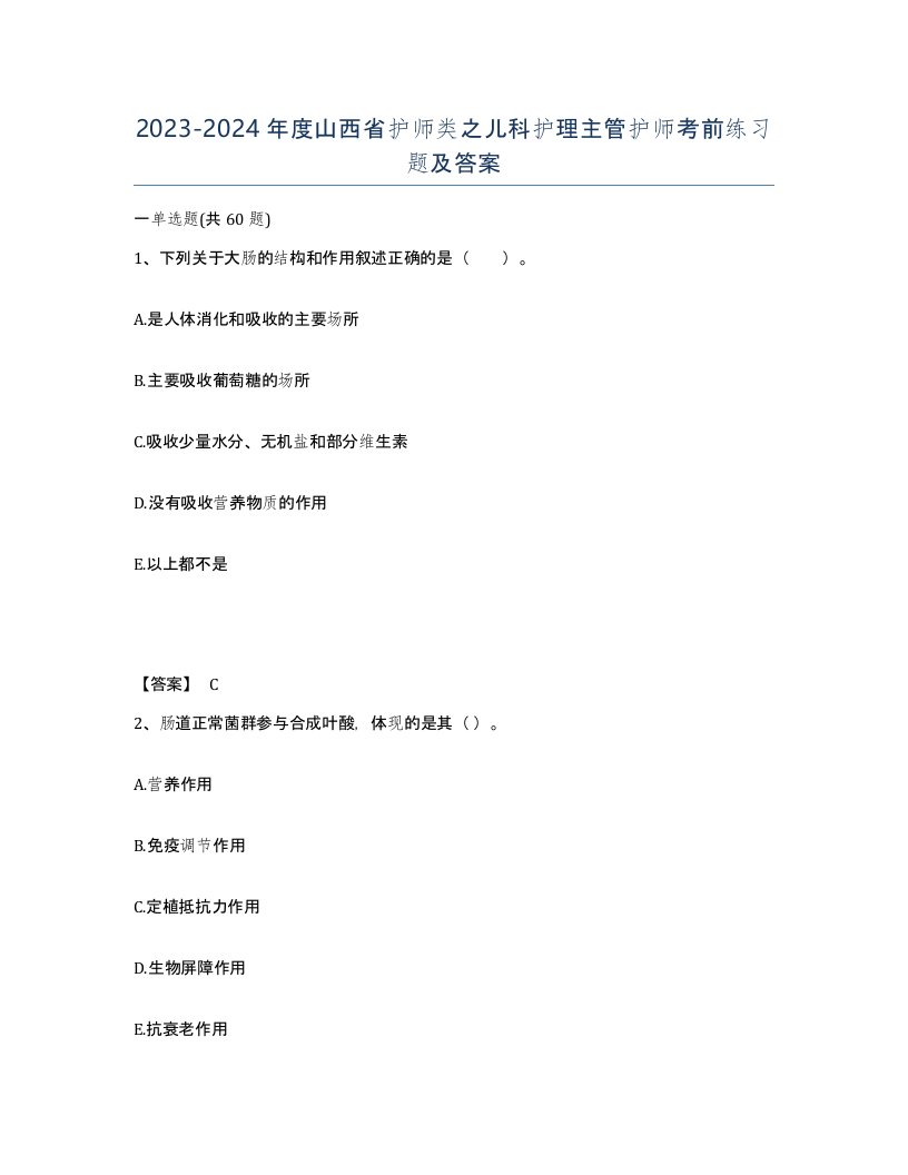 2023-2024年度山西省护师类之儿科护理主管护师考前练习题及答案