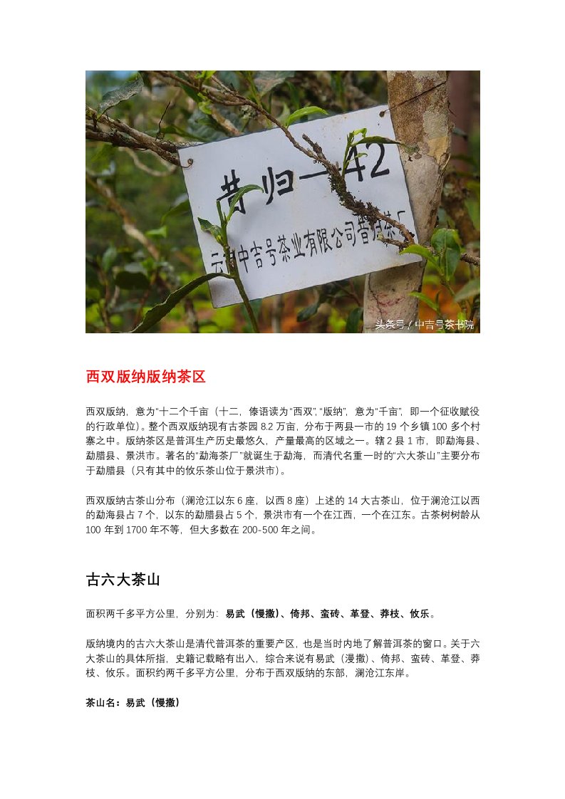 云南普洱茶名山大全