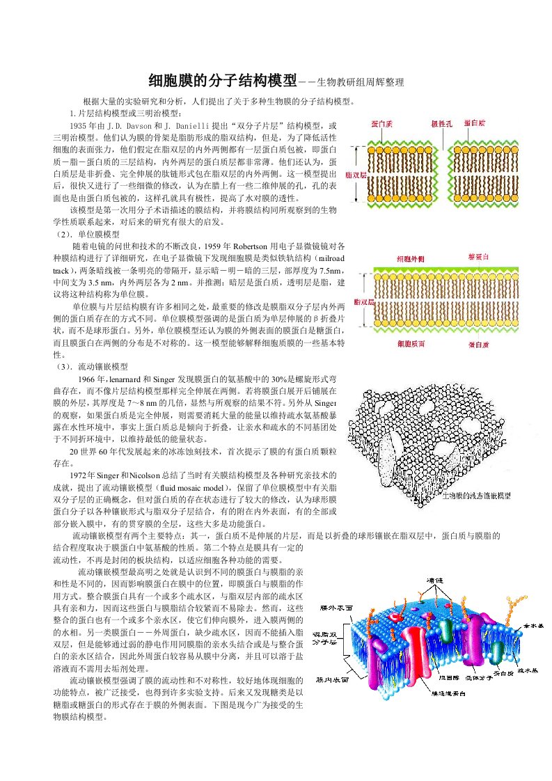 细胞膜的分子结构模型