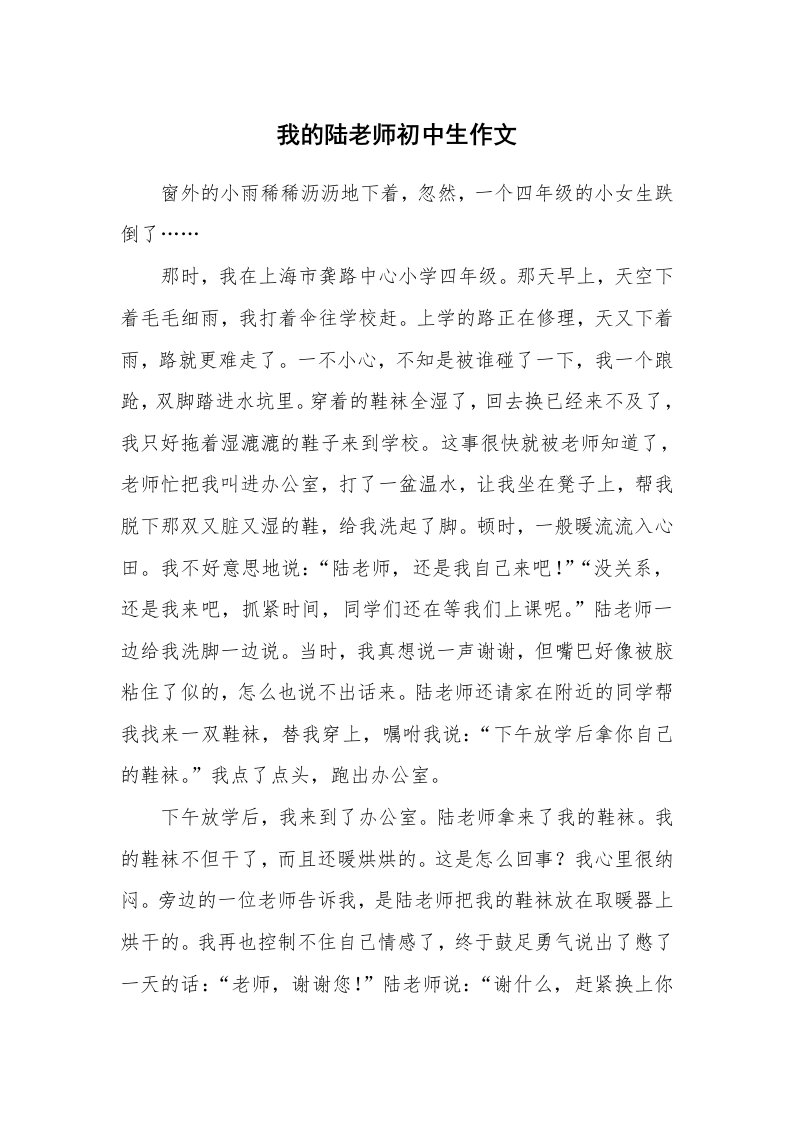 我的陆老师初中生作文