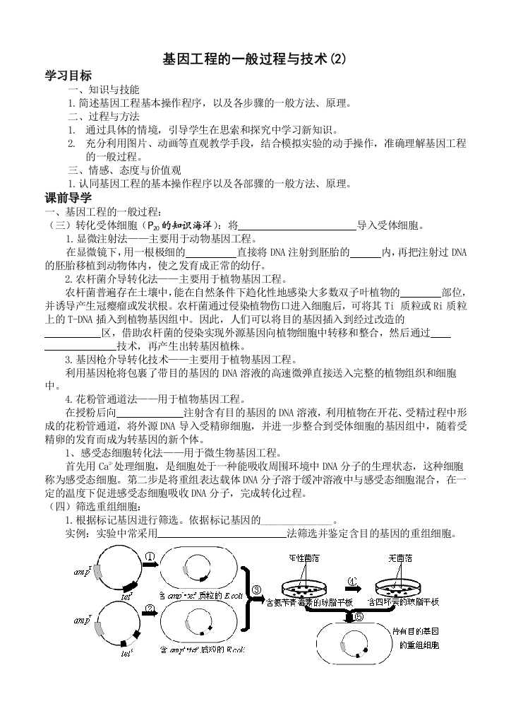 基因工程的一般过程2