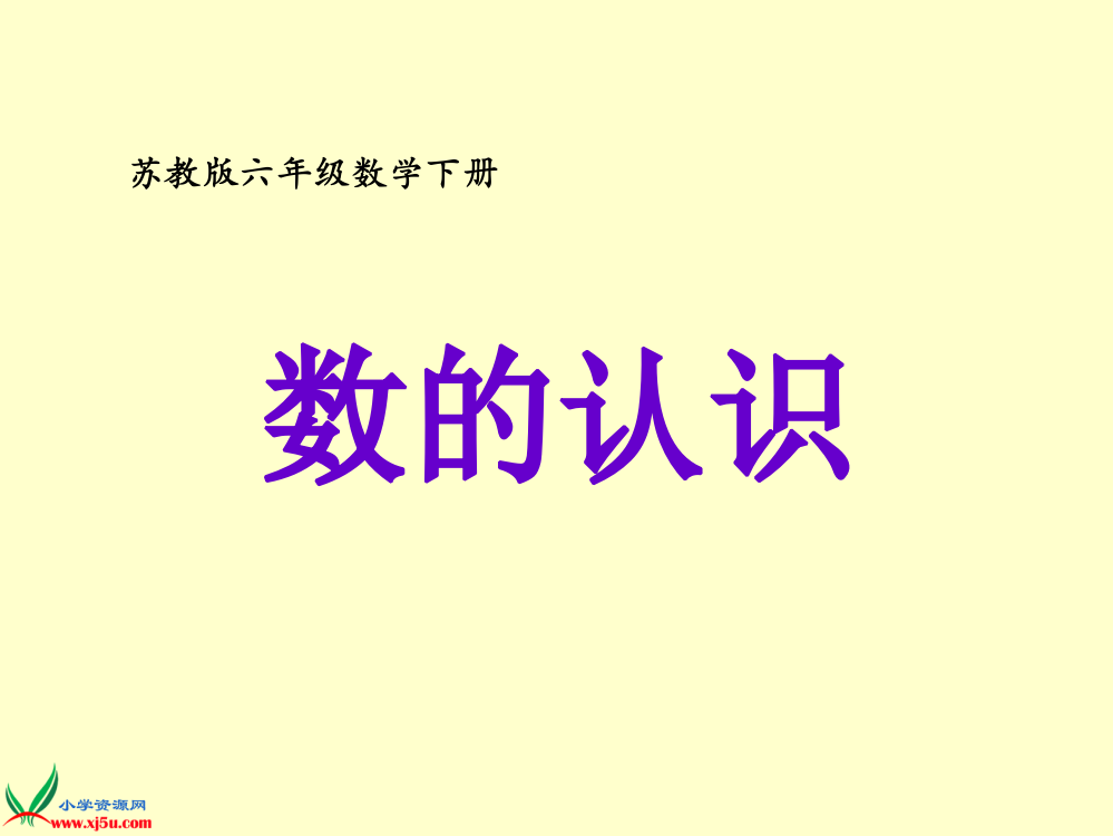 苏教版六年级数学下册课件数的认识