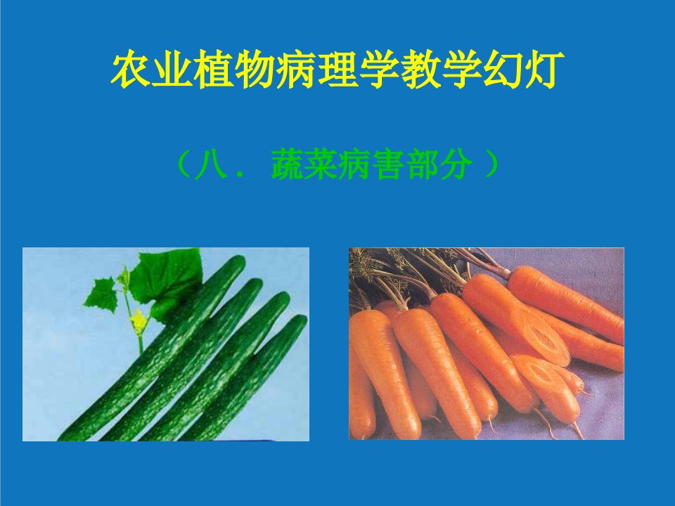 农业与畜牧-农业植物病理学蔬菜病害