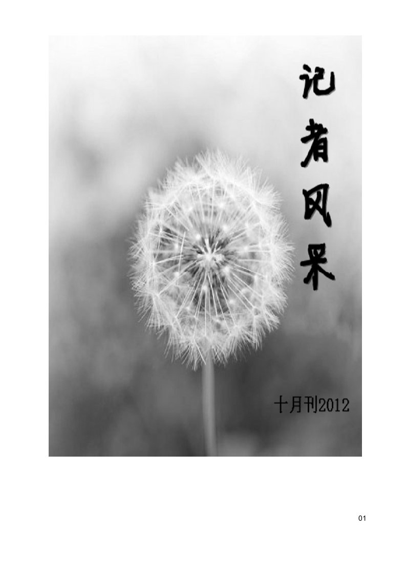 新河中学记者风采2012年10月刊