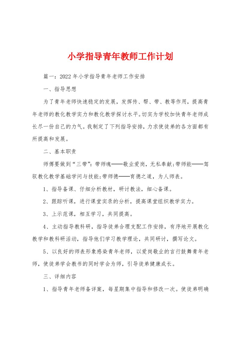 小学指导青年教师工作计划