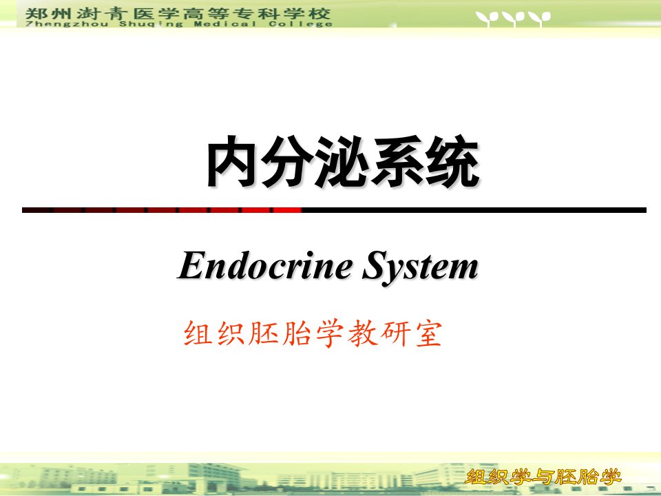 【学习课件】第八章内分泌系统