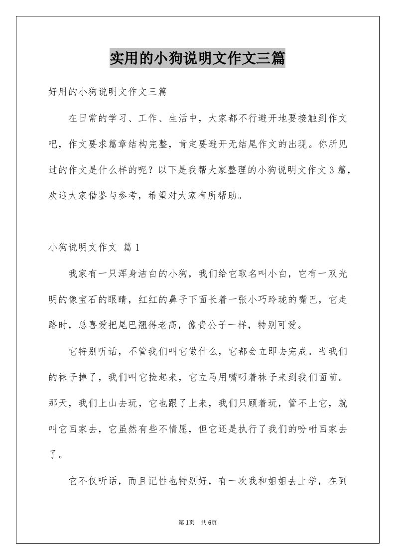 实用的小狗说明文作文三篇