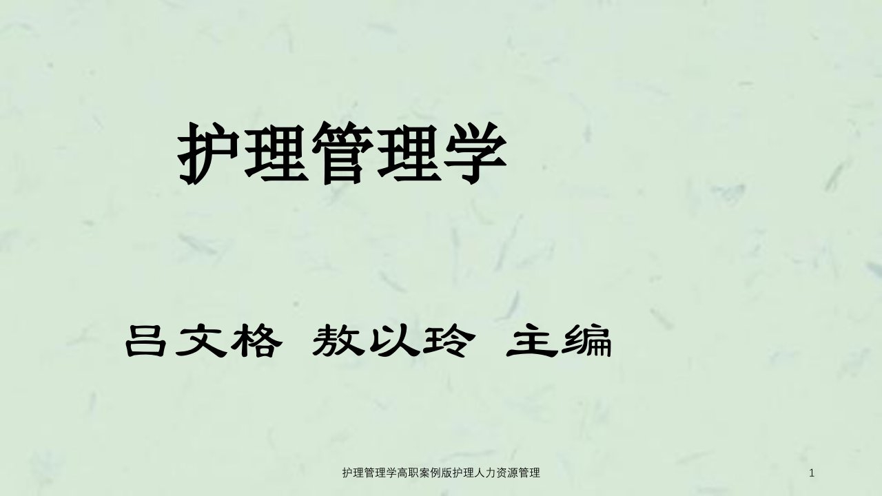 护理管理学高职案例版护理人力资源管理ppt课件