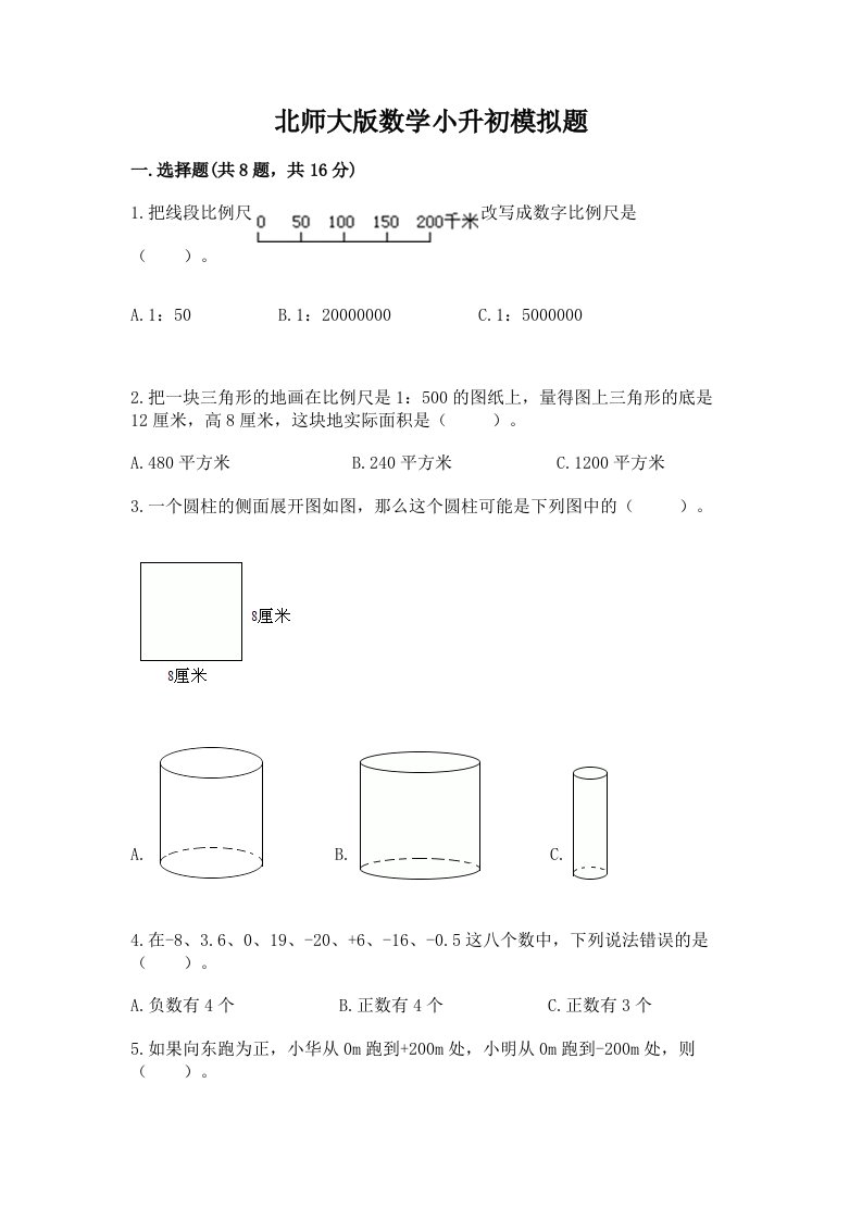 北师大版数学小升初模拟题及答案（真题汇编）