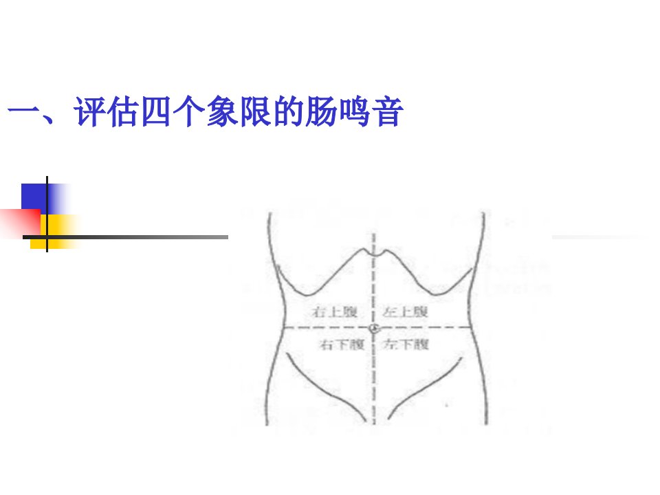 胃肠泌尿系统评估丁世玲