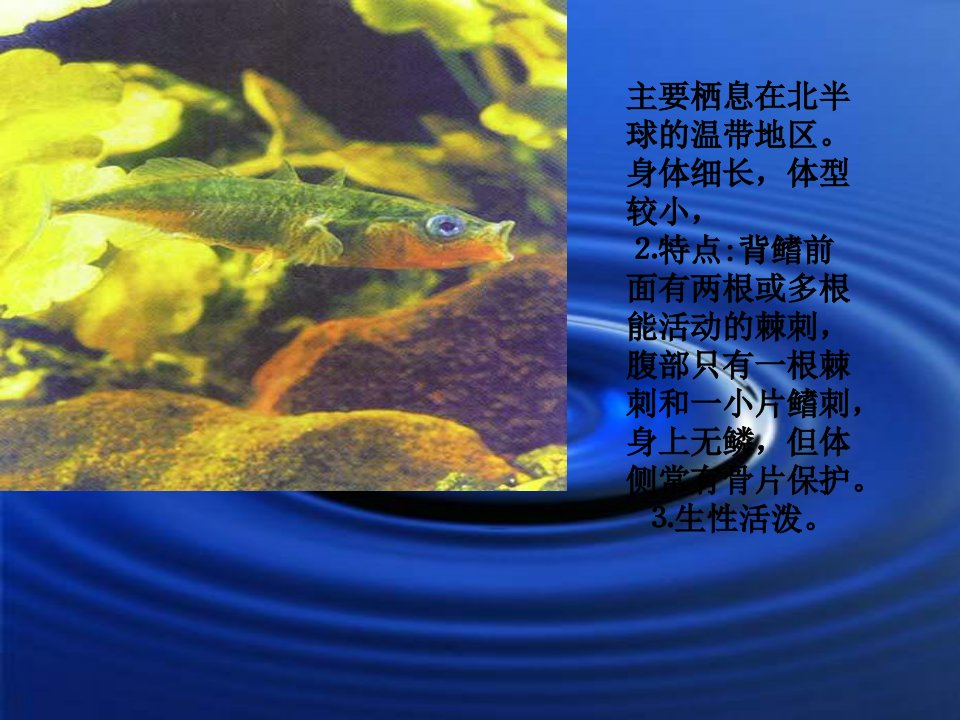 北师大版生物八上第三节《