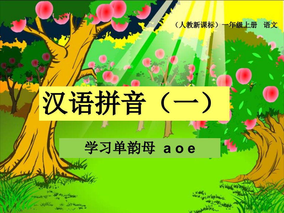 《汉语拼音单韵母aoe》课件