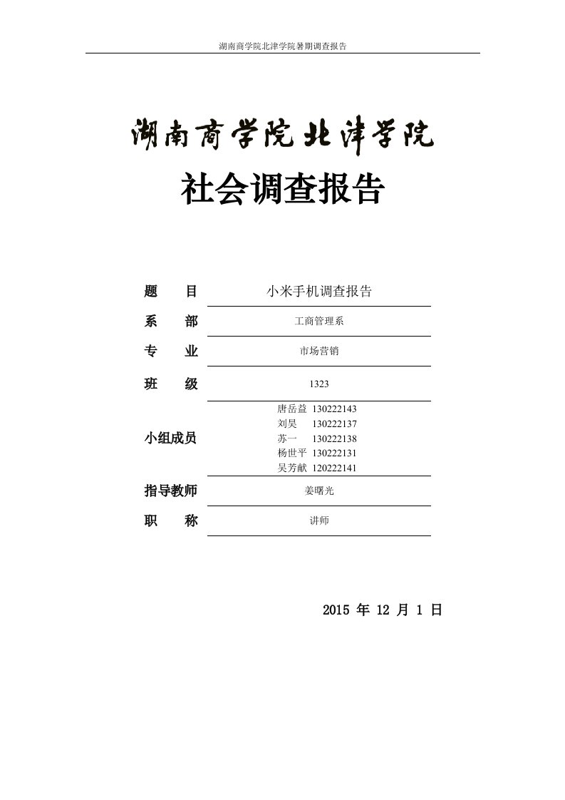 小米手机调查报告资料要点